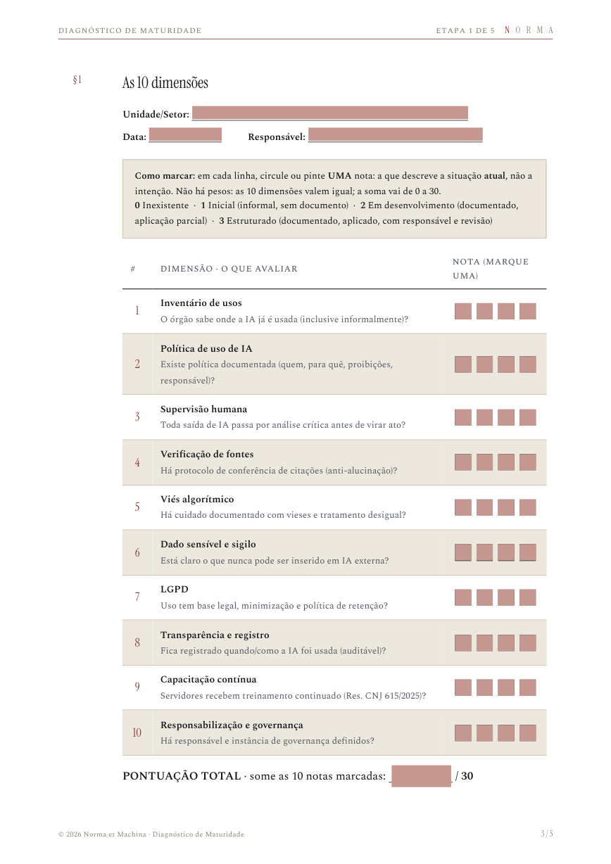 Página do Diagnóstico de Maturidade, com as dez dimensões e os campos de nota preenchíveis.